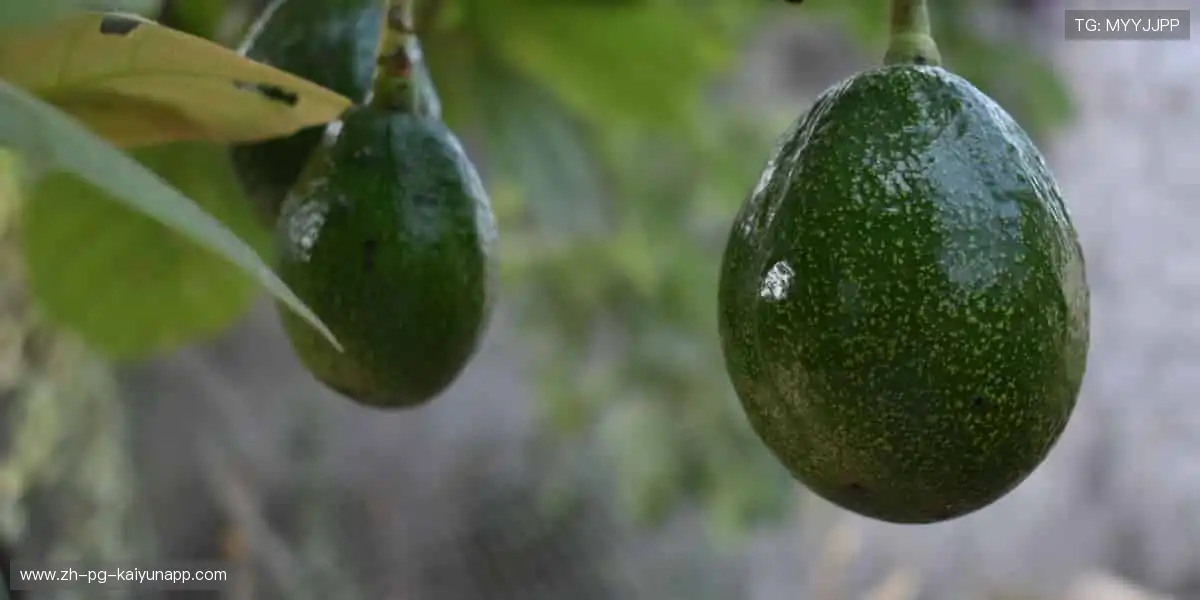 🎯 一键锁定，精彩赛事不错过！