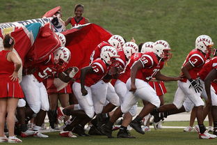 开云注册-青少年体育社团快速发展 激发校园活力，体育社团开展