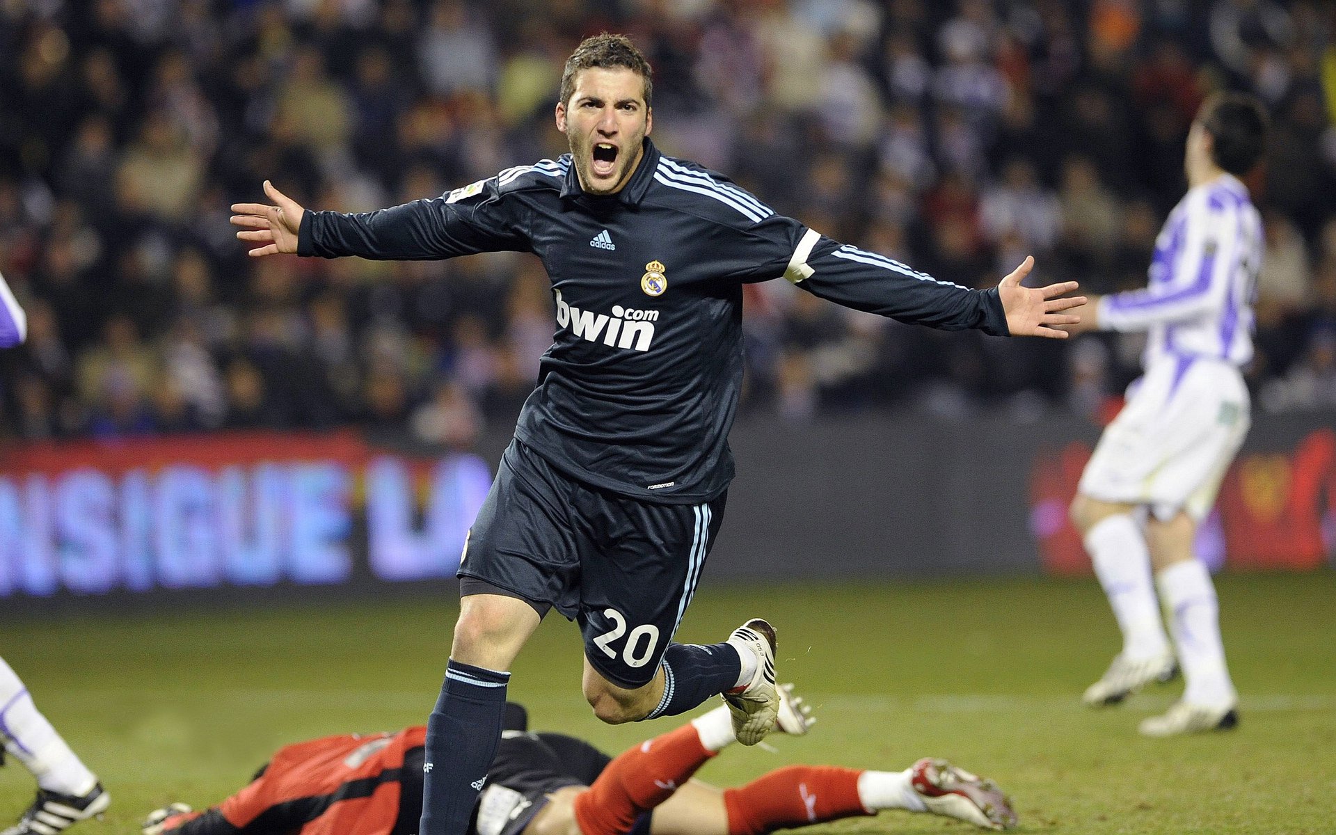 拳击赛事观众人数增长，拳击比赛数据